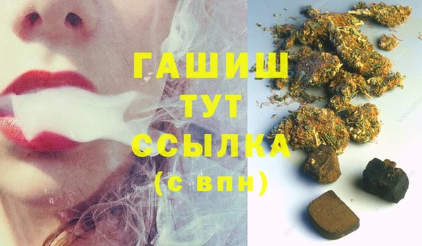 индика Алзамай