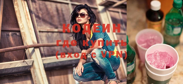 индика Алзамай