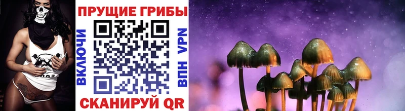 KRAKEN зеркало  нарко площадка телеграм  Псилоцибиновые грибы Psilocybine cubensis  Хадыженск 